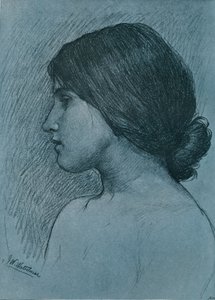 Estudio de una Cabeza, c1899