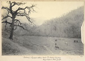 Provincia de Razavi Khorasan, Irán, c.1908 (fotografía en b/n)