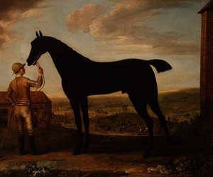 "Basto", caballo de carreras oscuro sostenido por un mozo fuera del establo en Newmarket de John Wootton