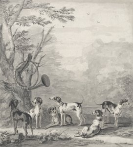 Perros en un paisaje