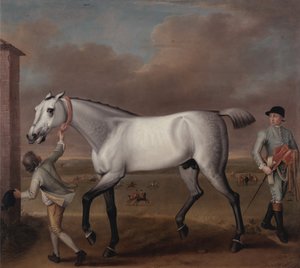 El caballo de carreras gris del Duque de Hamilton, "Victorious", en Newmarket de John Wootton
