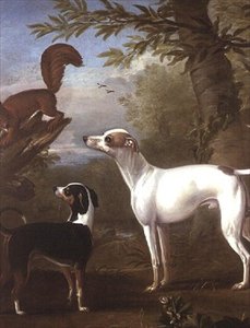 Dos perros deportivos atraídos por una ardilla en un tocón de árbol