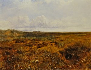 La madriguera de conejos, c.1858 de John Wright Oakes