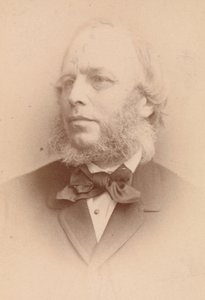 Lumb Stocks, 1860s de John and Charles Watkins