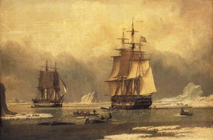 El "Cisne" y "Isabella" cazando ballenas en el Ártico de John of Hull Ward