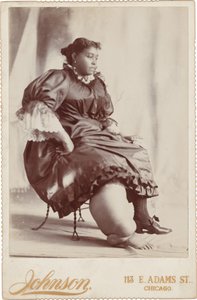 Retrato de mujer,c. 1890 (foto) de Johnson