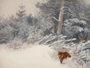 Zorro del bosque invernal de Jolly and Dash