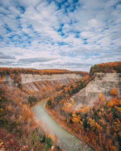 Colores otoñales en el desfiladero del Parque Estatal de Letchworth, en Nueva York, EE.UU. (foto) de Jon Bilous