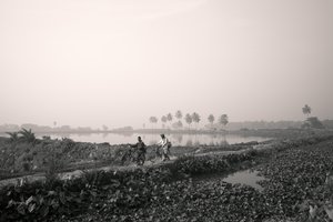 Pesca en humedales en Calcuta, 2016 (foto)