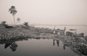 Pesca en humedales en Calcuta, 2016 (foto)