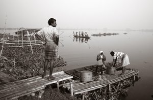 Pesca en humedales en Calcuta, 2016 (foto)