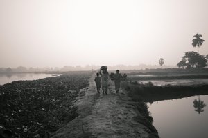 Pesca en humedales en Calcuta, 2016 (foto)