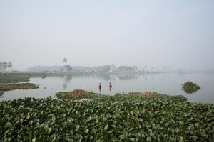 Pesca en humedales en Calcuta, 2016 (foto) de Jon Nicholson