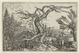 Paisaje con el árbol seco de Jonas Umbach