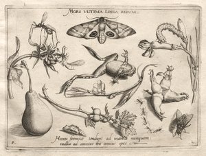 Arquetipos y estudios: La muerte es la línea que marca el final de todo Parte II, placa 5, 1592