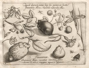 Arquetipos y estudios: Lo que puede surgir en consonancia con una promesa tan cavernosa, 1592