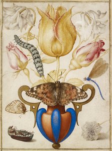 Arreglo de flores en un jarrón, con insectos de Joris Hoefnagel