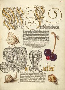Mariposa, cereza dulce y caracoles terrestres de Joris Hoefnagel