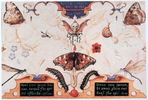 Díptico con flores e insectos, 1591 de Joris Hoefnagel