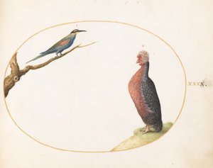  de Joris Hoefnagel
