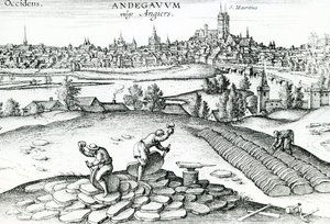 Cantera de pizarra en Angers, 1561 de Joris Hoefnagel