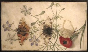 Estudios de flores y mariposas de Joris Hoefnagel