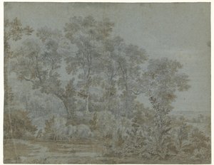 El Wildbaan, cerca de Arnhem de Joris van der Haagen