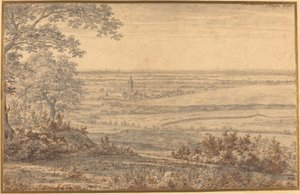 Paisaje extenso visto desde el borde de un bosque de Joris van der Haagen