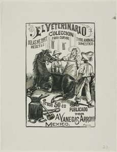 El veterinario