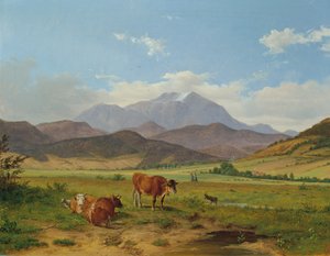 paisaje con montaña nevada