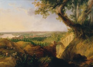 Vista de la capital y ciudad residencial de Viena desde el mirador cerca de Nussdorf