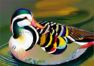 Animales: pato mandarín 3