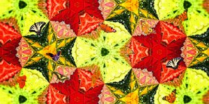 Criaturas: Mariposas en la Rosaleda de Josef Johann Michel