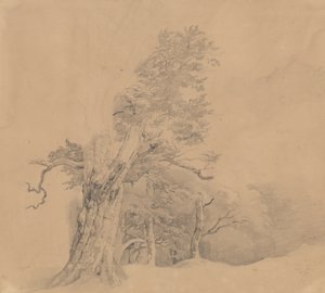  de Josef Kriehuber