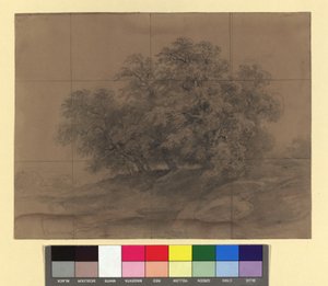 Grupo de árboles - con cuadrícula de ampliación de Josef Kriehuber