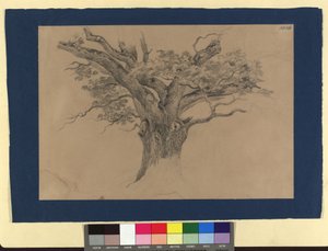 Estudio sobre los árboles de Josef Kriehuber