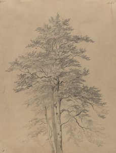  de Josef Kriehuber
