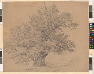 El gran árbol del Prater de Josef Kriehuber