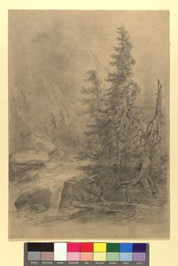 Arroyo de montaña con coníferas de Josef Kriehuber