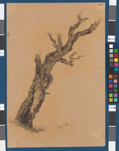 Árbol desnudo - Estudio de un árbol de Josef Kriehuber