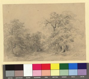 Paisaje forestal de Josef Kriehuber