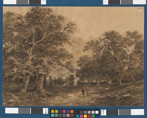 Paisaje forestal con elementos decorativos