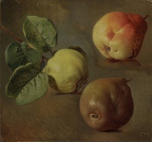 Membrillos de Josef Matěj Navrátil