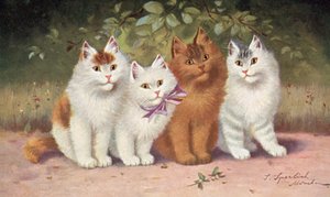 Postal felina (litografía en color) de Josef Sperlich