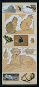 Estudios de animales (12 bocetos) de Josef Wawra
