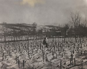 Cementerio militar (foto en b/n)