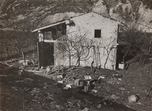 Álbum 