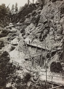Álbum 