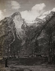 Álbum 