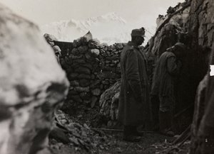 Álbum 